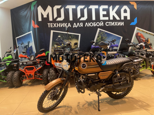 Мопед Мотомир COLT INTERNATIONAL 49.9 (110) коричневый (международная схема п/п) | Мототека